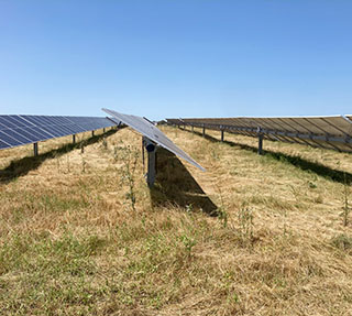 Solar Farm
